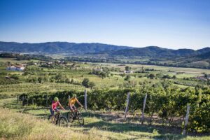 EBIKE_VIPAVA_VALLEY3-1
